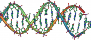 DNA string