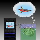 brain in vat, imagining a real world
